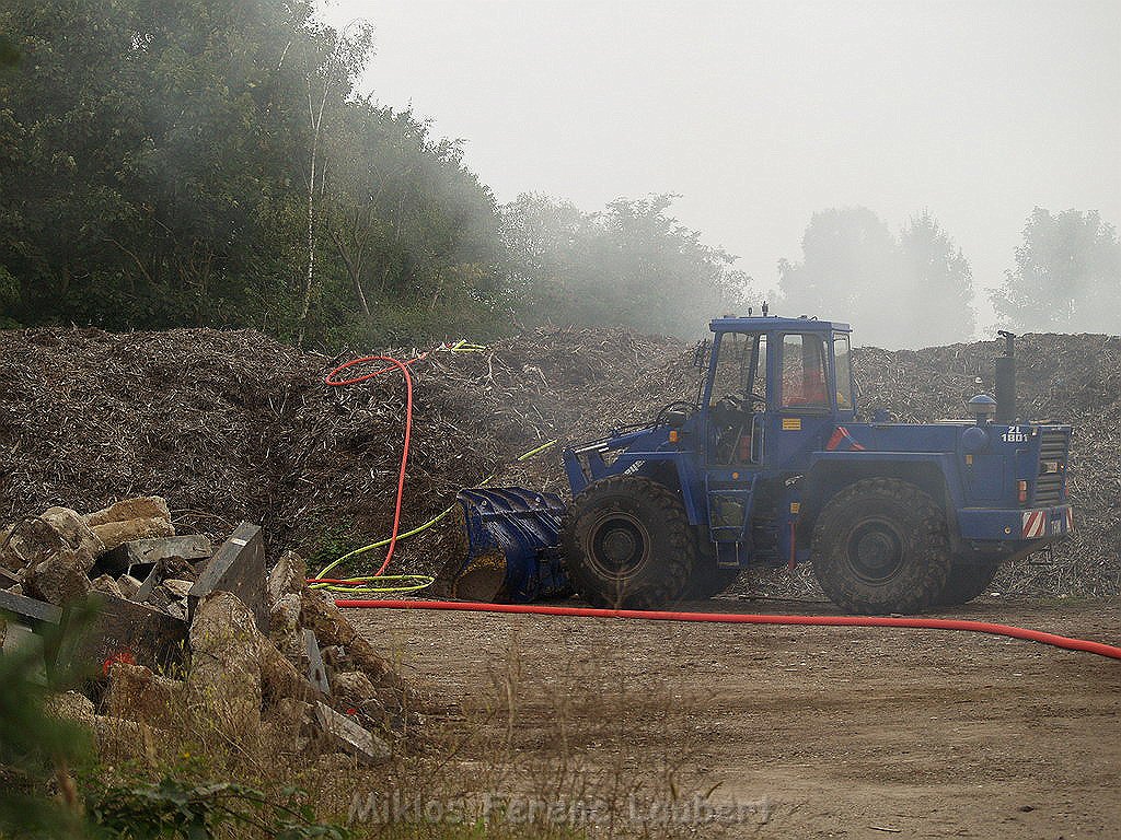 Brand Nordfriedhof Koeln Weidenpesch P246.JPG